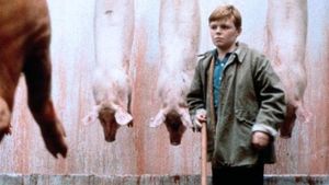 The Butcher Boy's poster