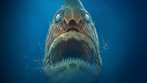 Aquarium of the Dead's poster