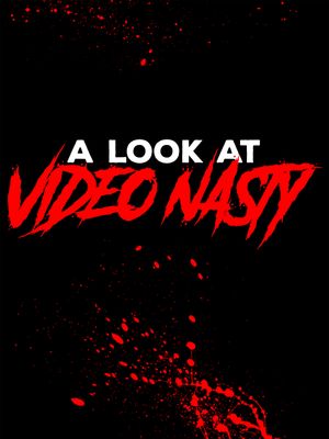 A Look at Video Nasty's poster