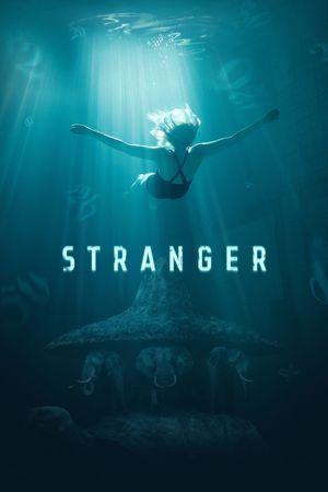 Stranger's poster