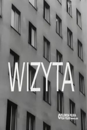 Wizyta's poster