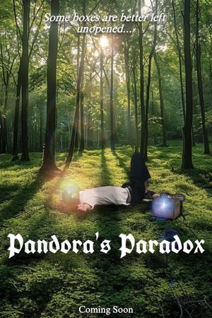 Pandora's Paradox's poster
