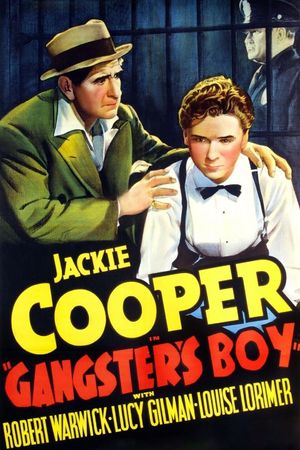 Gangster's Boy's poster