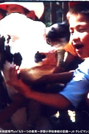 Lessons from a Calf's poster