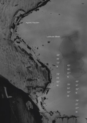 Latitude Mesh's poster
