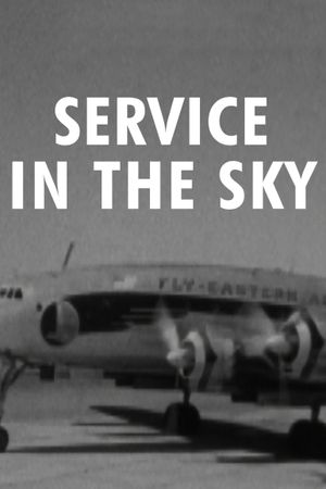 Eye Witness: Service in the Sky's poster