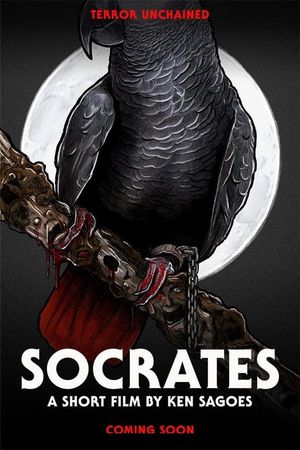 Socrates's poster