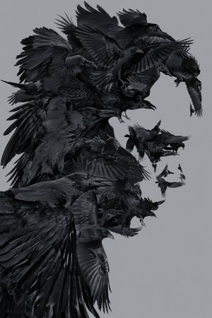 The Crow's poster