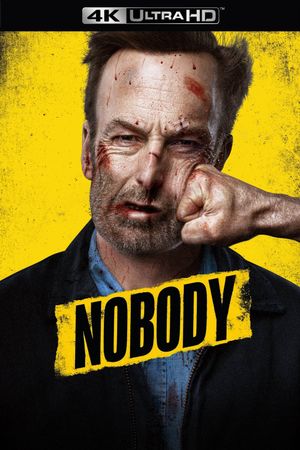 Nobody's poster