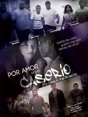 Por amor en el caserio's poster