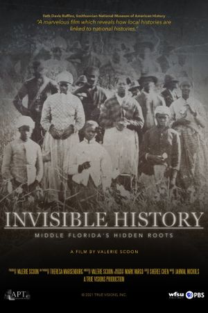 Invisible History: Middle Florida's Hidden Roots's poster