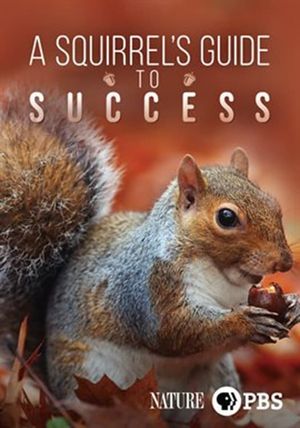 A Squirrel's Guide to Success's poster