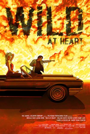 Wild at Heart's poster