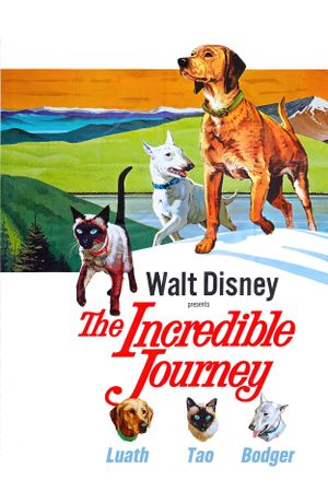 The Incredible Journey's poster