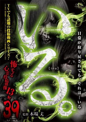 「Iru.」~ Kowasugiru Tōkō Eizō 13-hon ~ Vol.39's poster