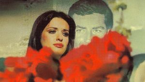 Deli Gibi Sevdim's poster