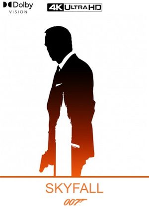 Skyfall's poster