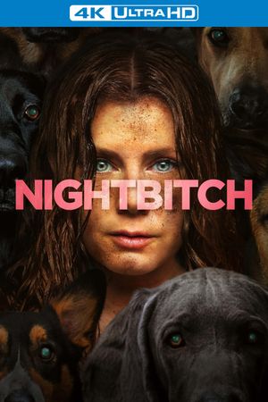 Nightbitch's poster