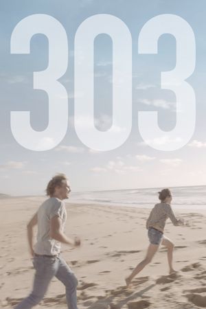303's poster