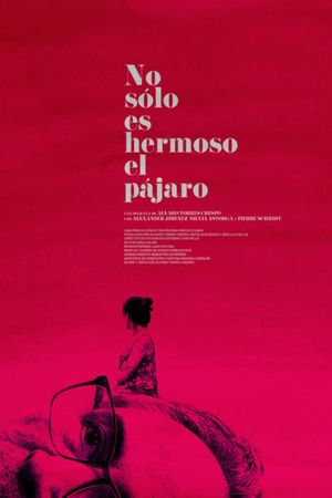 Not Only The Bird is Beautiful's poster