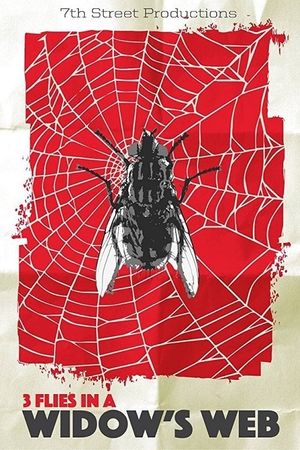 3 Flies in a Widow's Web's poster
