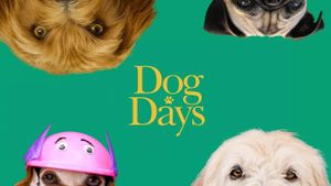 Dog Days's poster