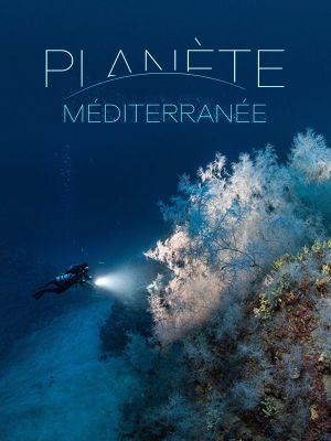 The Deep Med's poster