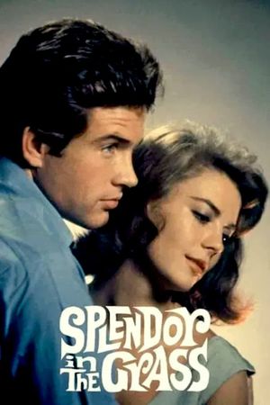 Splendor in the Grass's poster