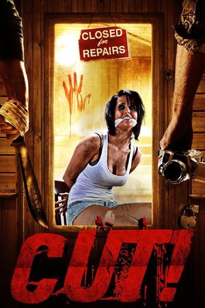 Cut!'s poster