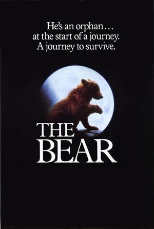 The Bear's poster
