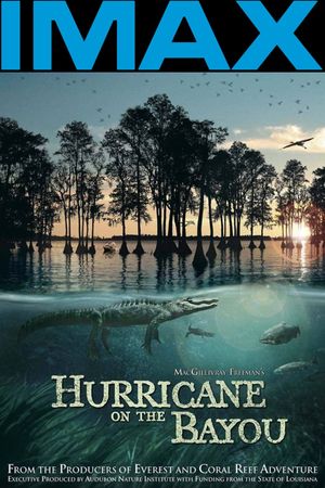 Hurricane on the Bayou's poster