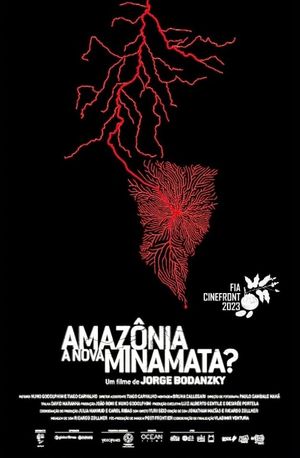 Amazônia, A Nova Minamata?'s poster