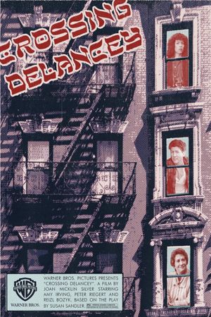 Crossing Delancey's poster