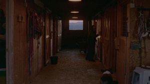 Certain Women's poster