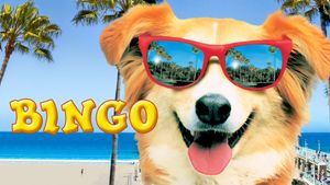 Bingo's poster