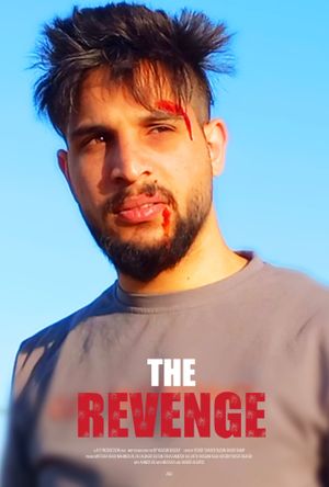 The Revenge's poster