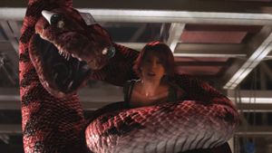 Boa vs. Python's poster