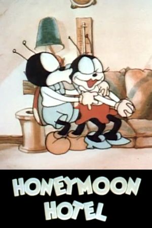 Honeymoon Hotel's poster