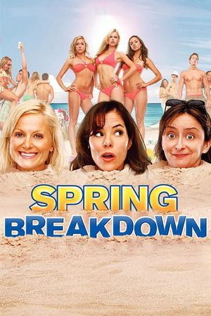 Spring Breakdown's poster