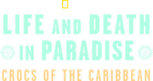 Life and Death in Paradise: Crocs of the Caribbean's poster