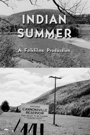 Indian Summer's poster