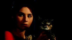 When the Cat Comes's poster