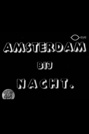 Amsterdam bij nacht's poster