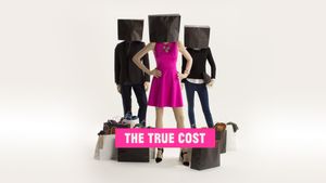 The True Cost's poster