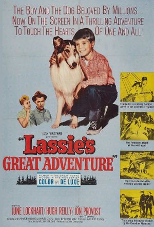 Lassie's Great Adventure's poster
