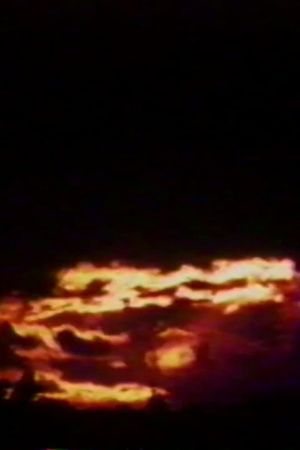 Sunsets's poster