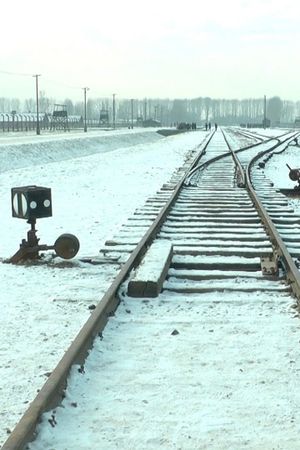 19 876 Steps in Auschwitz / Birkenau's poster