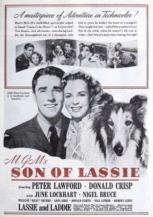 Son of Lassie's poster