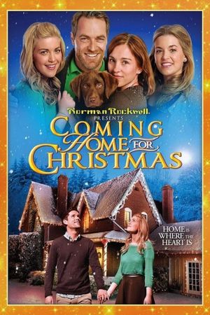 Coming Home for Christmas's poster
