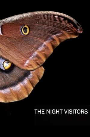 The Night Visitors's poster